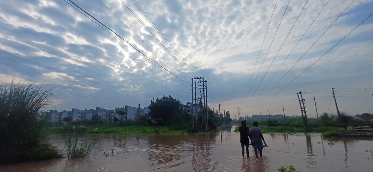 Four mm rain brought relief from the humid heat