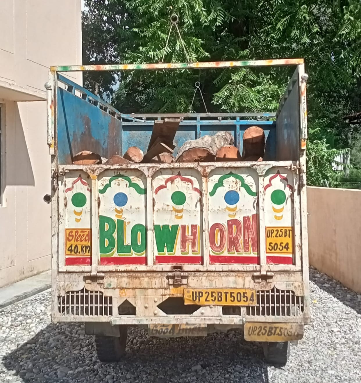 Forest workers caught a pickup full of wood worth 1.25 lakh