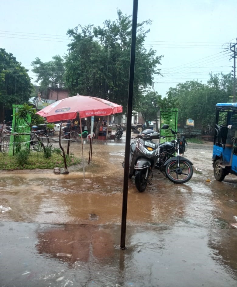 Crops get respite from heavy rain, temperature drops