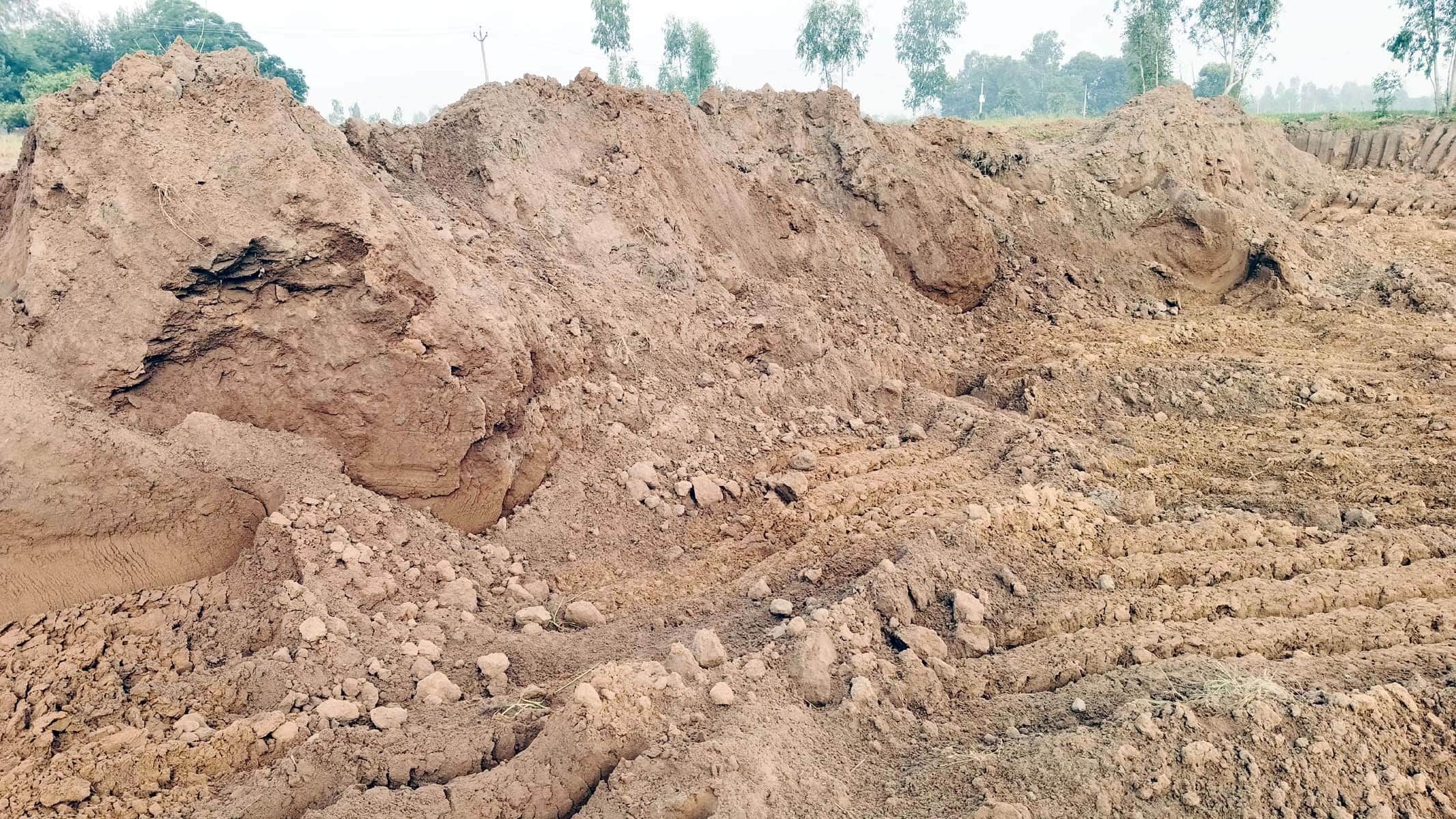 सांकेतिक तस्वीर