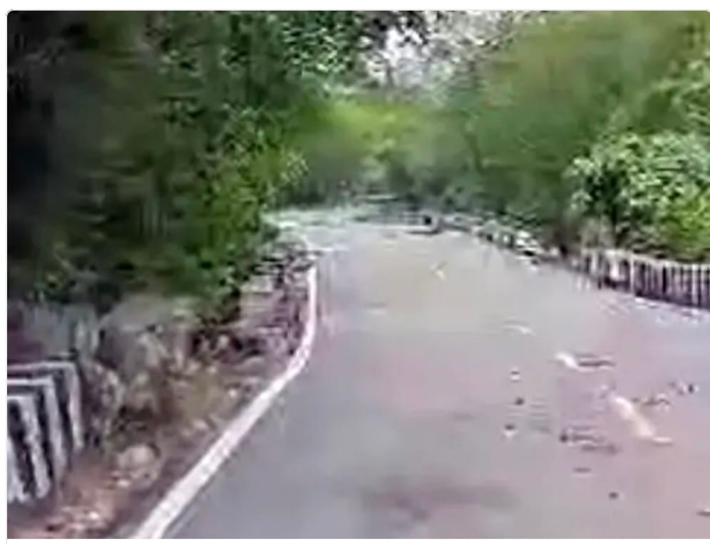 सिरोही। राज्यसभा सांसद नीरज डांगी ने देसूरी नाल पर  एलिवेटेड रोड़ बनाने की मांग की है।