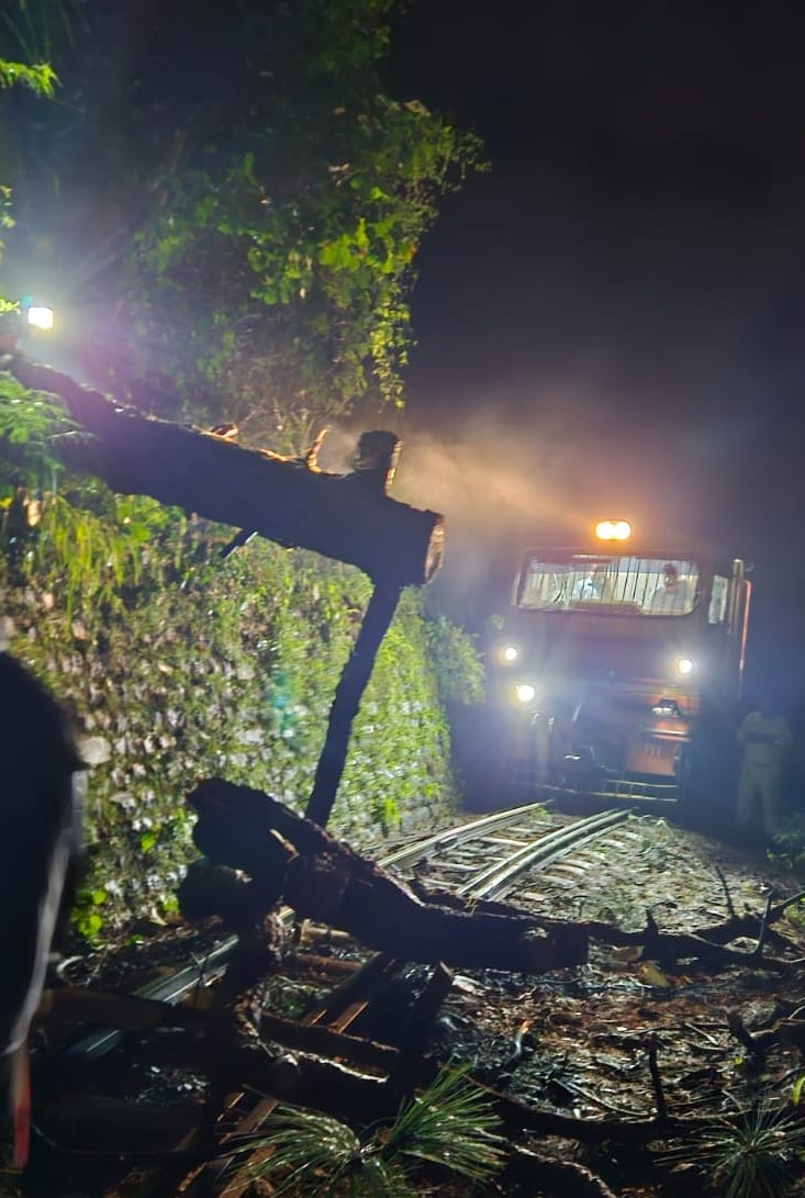 Landslide on Shimla-Kalka section, tree fell on train