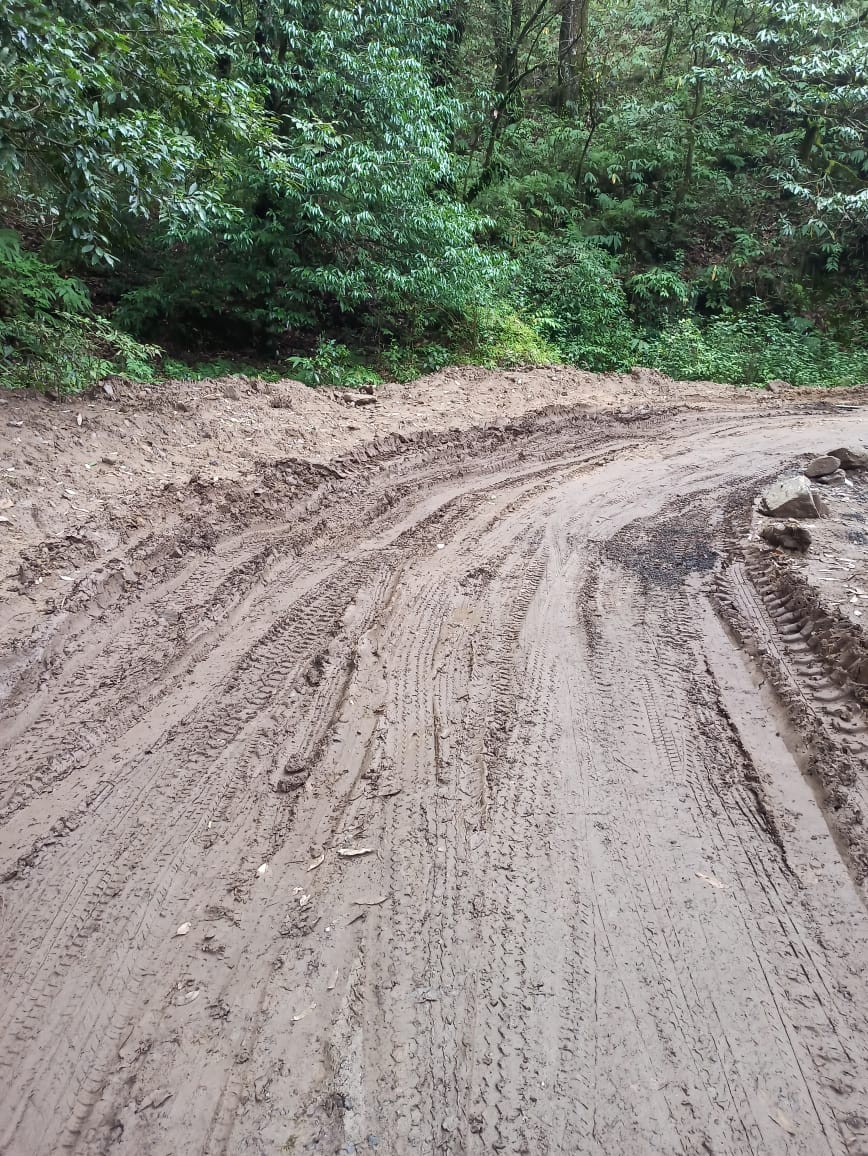 Manch Tamli road is in bad condition, people are getting worried