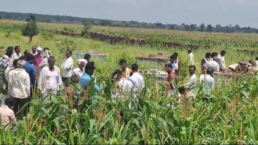 Damoh Bullies captured Muktidham, planted maize crop, people of other villages complained to the authorities