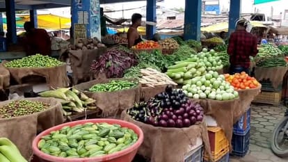 UP: The effect of less winter in the state on vegetables, delay in sowing has a big effect on tomatoes, cabbag