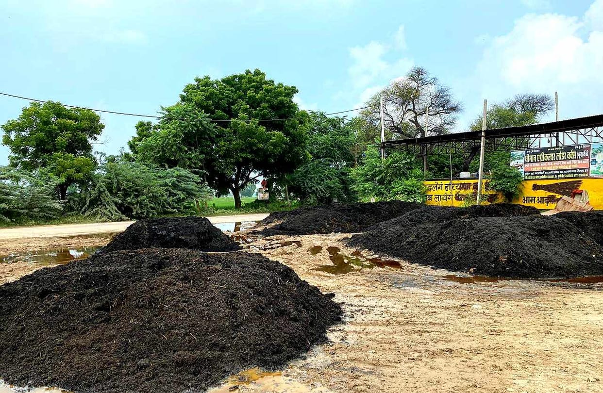 Ash heaps of stubble bales were placed on the roadside, action will be taken against bio energy plant management