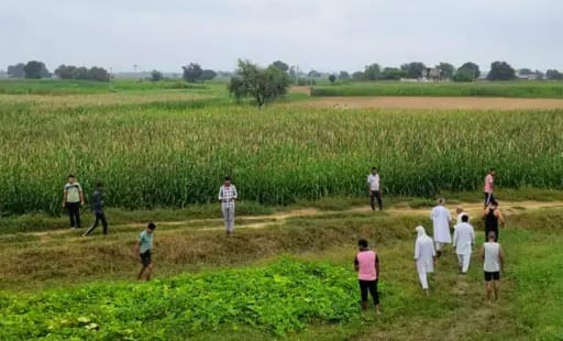 Tiger reaches Jakhopur village of Rajasthan from Jhabua