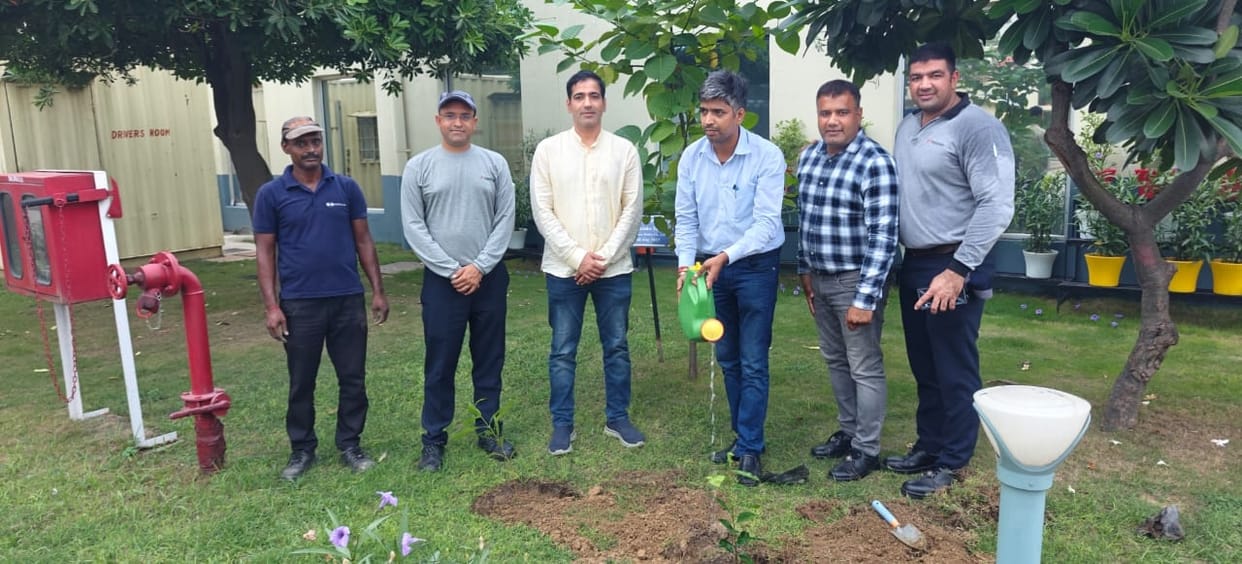 Pollution Control Board planted trees