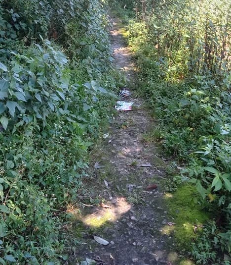 Askot-Kalapani walking route surrounded by bushes