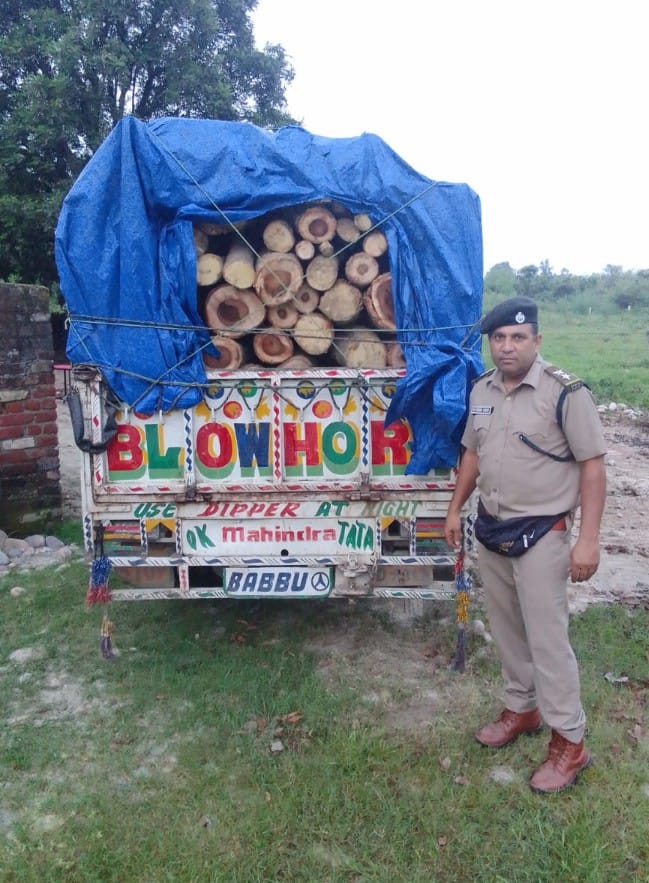 Two carts full of wood seized in Ray