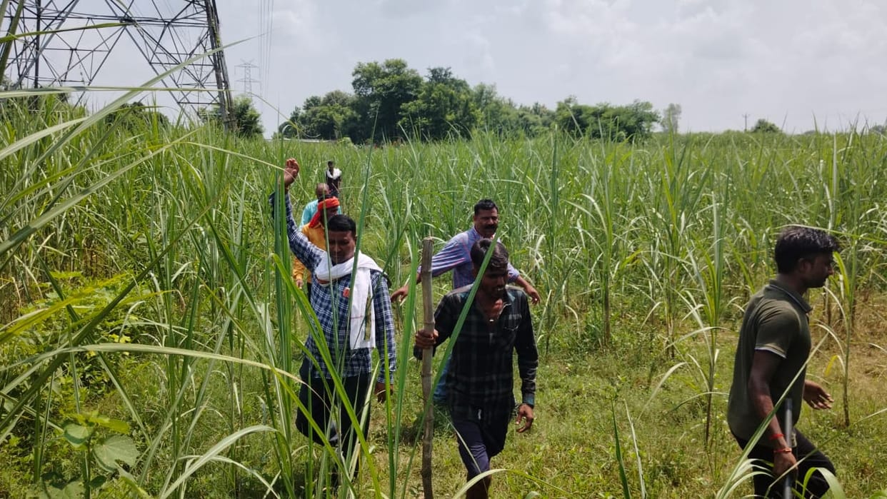 After Bahraich, fear of wolves in many villages of Basti