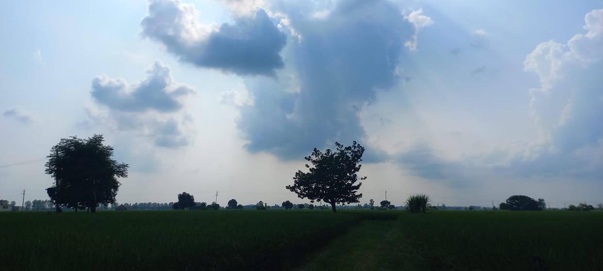 Changing weather is increasing farmers' worries, possibility of rain in next four days