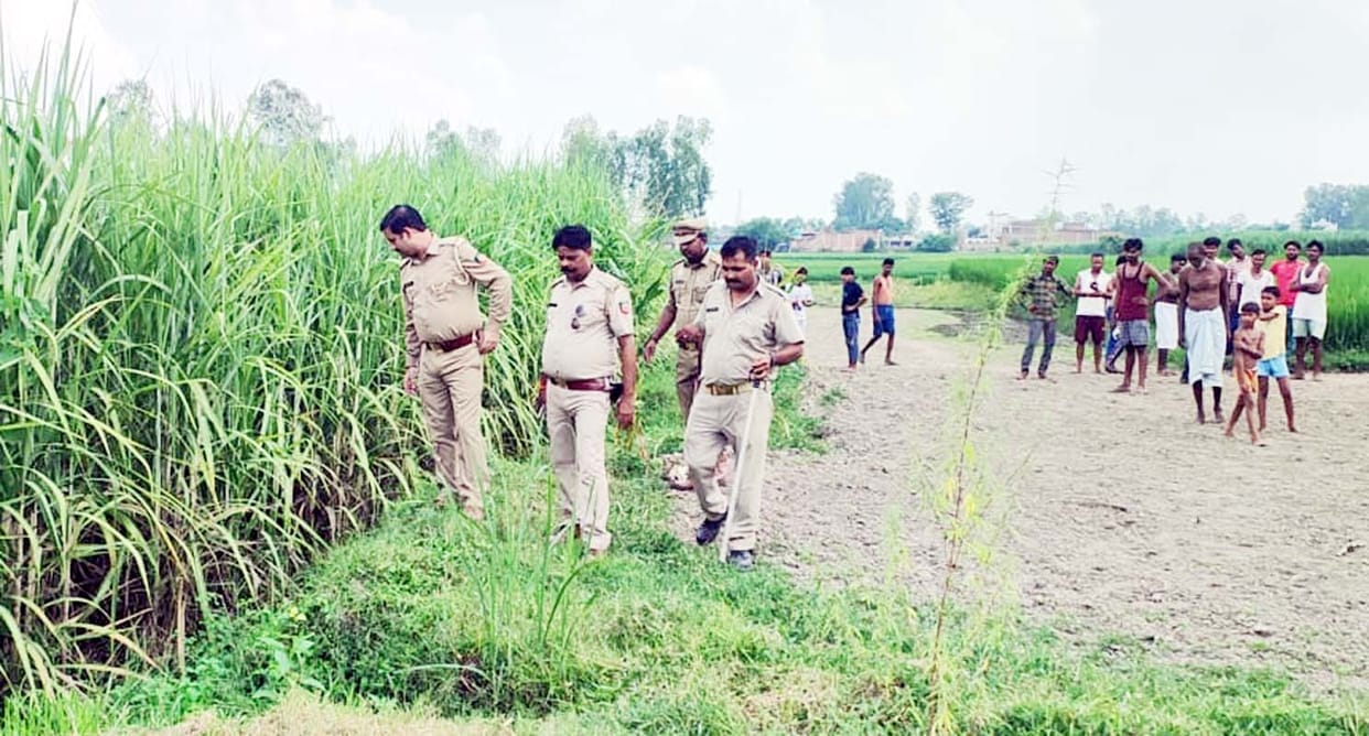 Four teams formed to monitor wild animals