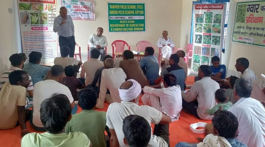 The outbreak of gall moth has increased the concern of guar producing farmers: Dr. Saini