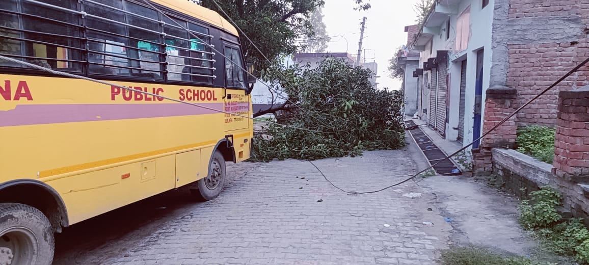 Electricity supply disrupted for five hours due to tree branch falling on wires