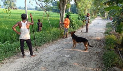 Sultanpur: A cage with a monkey was set up to catch the jackal, the jackal came and gave a piece of meat and r
