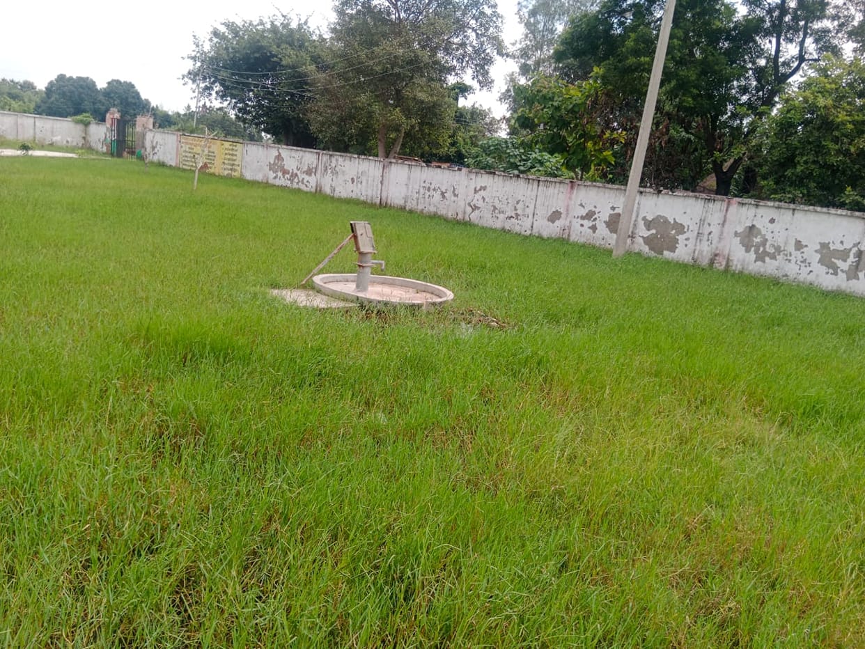 Dirt, garbage and grass... these are council schools