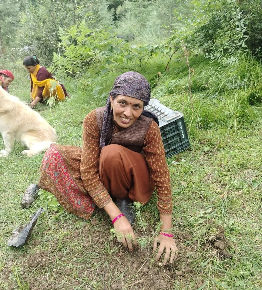 Gopalpur, planted cedar saplings, gave message of environmental protection