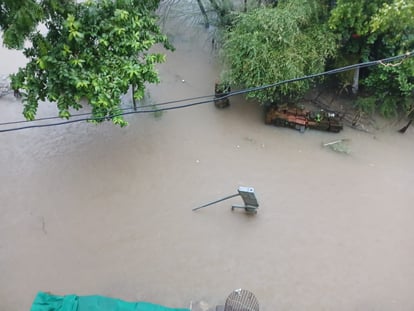 Damoh News: 12 घंटे से लगातार हो रही बारिश से जनजीवन अस्त-व्यस्त, स्कूल, कॉलेज और आंगनवाड़ी बंद