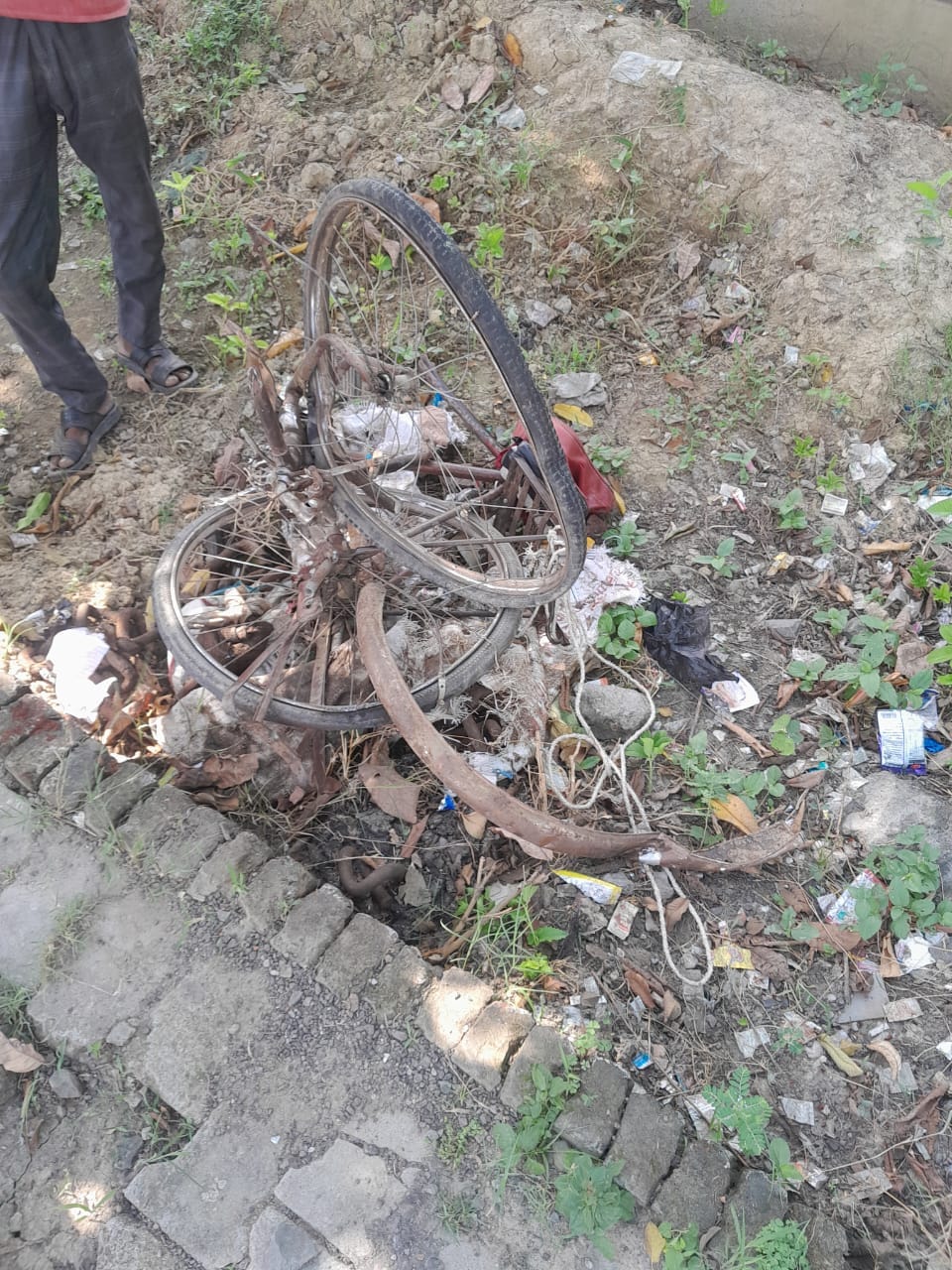 Vaishali was hit by a bicycle, the train stood still for 12 minutes