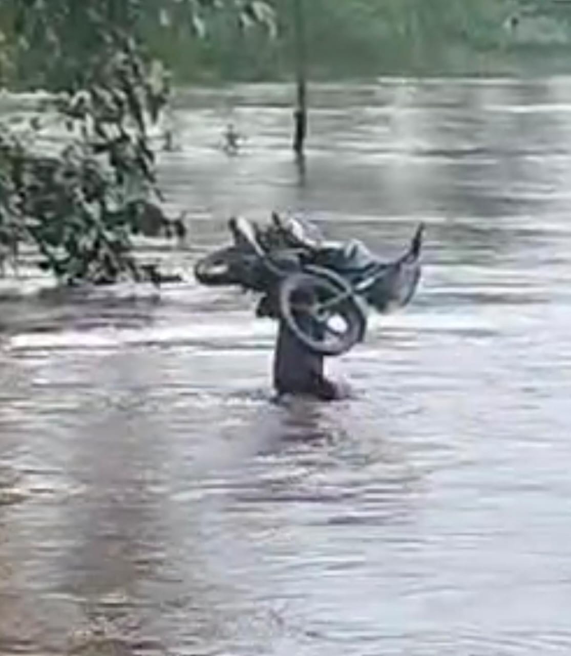 Damoh A young man carried a bike on his head from a flooded bridge in waist-deep water, video goes viral