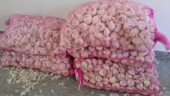 Chinese shine in desi garlic... consumption of four to five tonnes every day