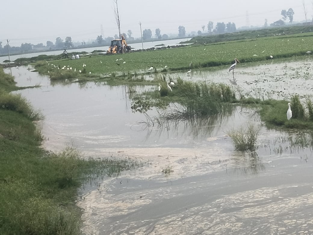 Mamour lake broke due to overflowing again due to rain