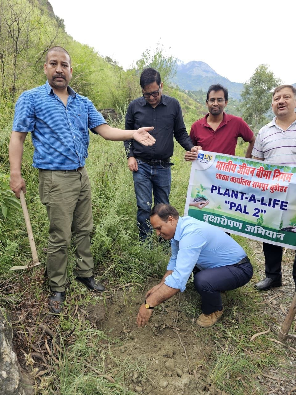 One plant in mother's name, plantation campaign, message of environmental protection, Rampur Bushahr