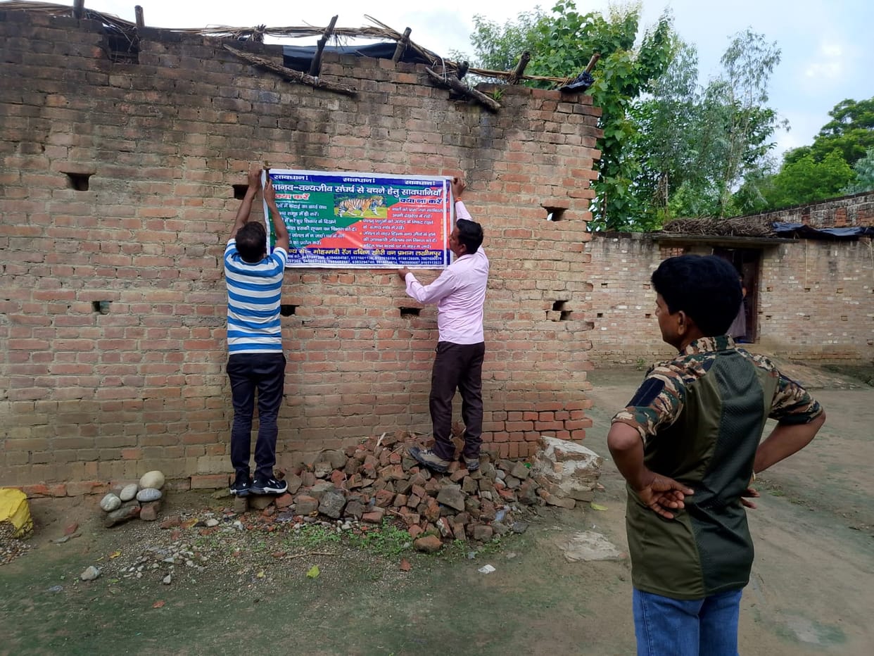 Rain became a hindrance in tiger rescue