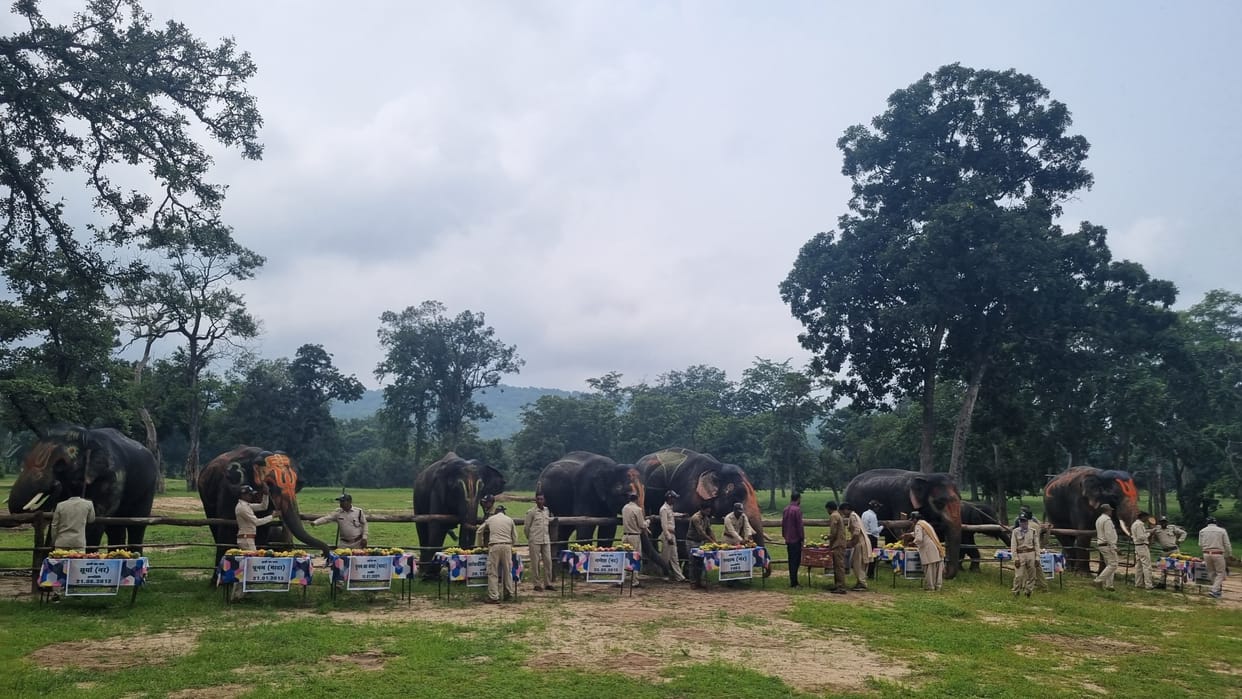 Umaria elephant festival going on in Bandhavgarh has concluded elephants will return to residential camp