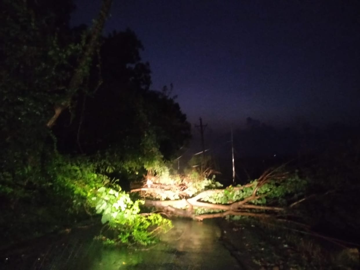 Tree fell on the road, traffic remained closed for four hours