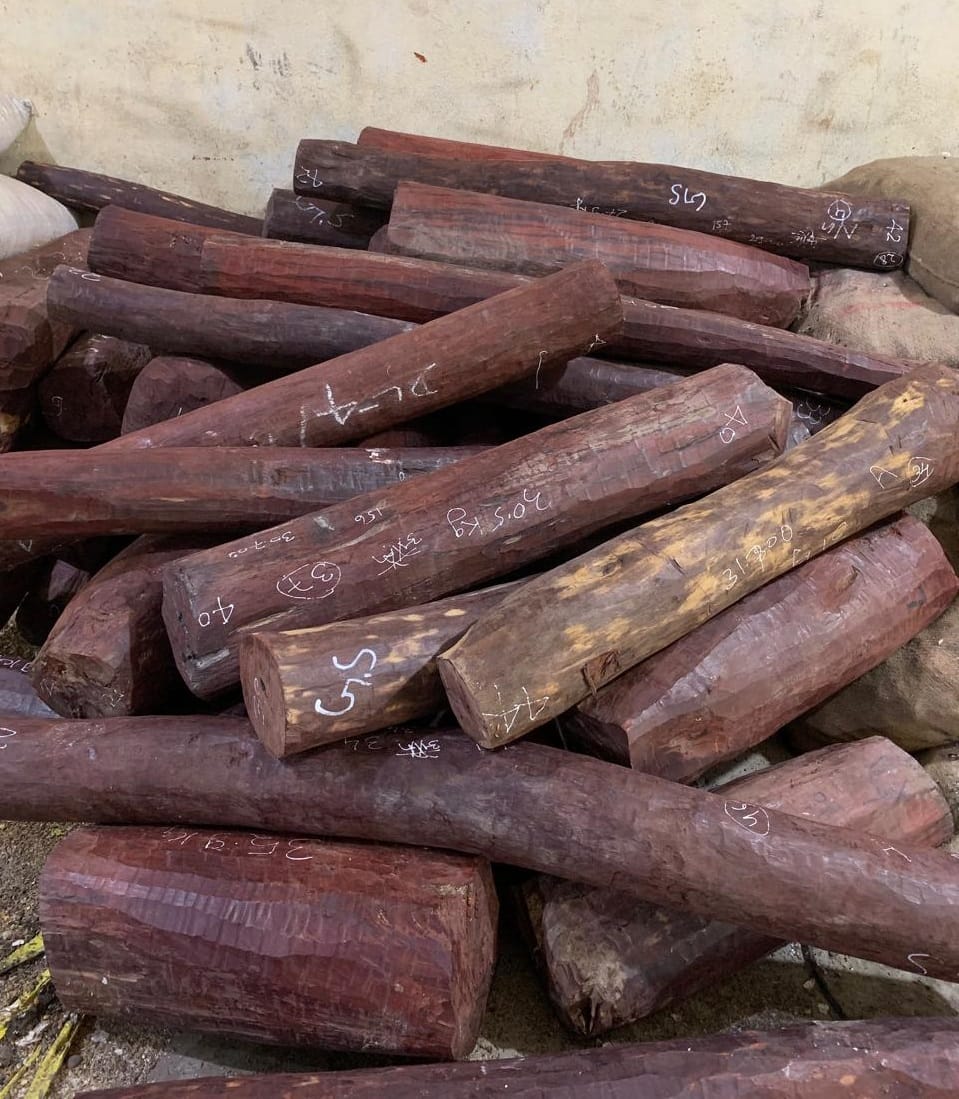 In the methods of sandalwood smuggling, smugglers have started smuggling filling sandalwood with red chillies