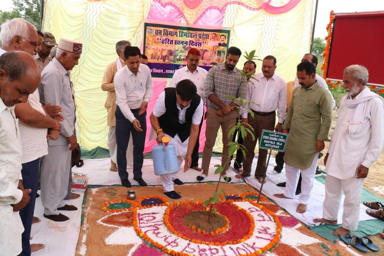 Planted 1100 saplings of mango, guava, jamun, amla and kachnar in Basal.