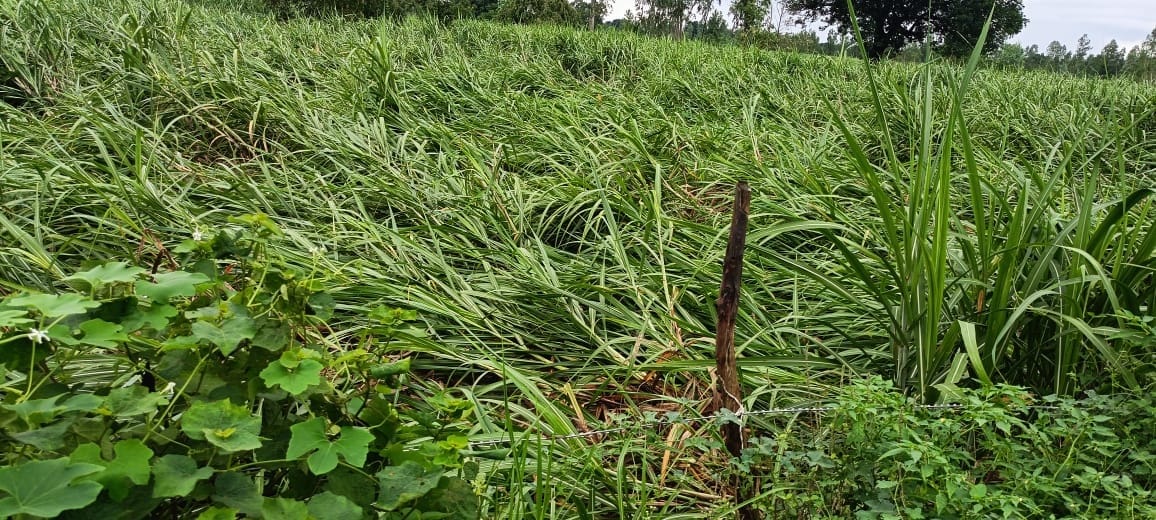 Due to the release of 4.61 lakh cusecs of water, water entered the houses of many villages