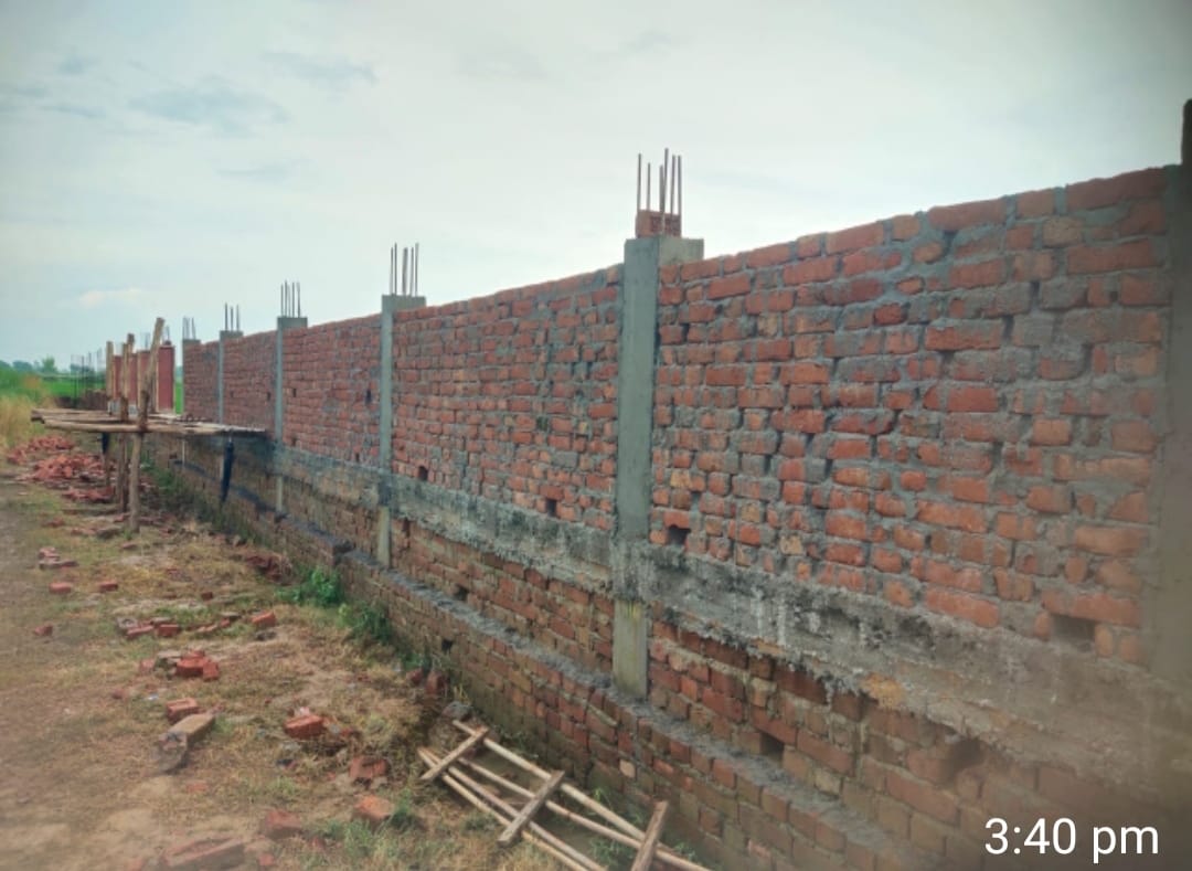 Construction of cow shed stuck due to lack of money, abandoned animals become headache