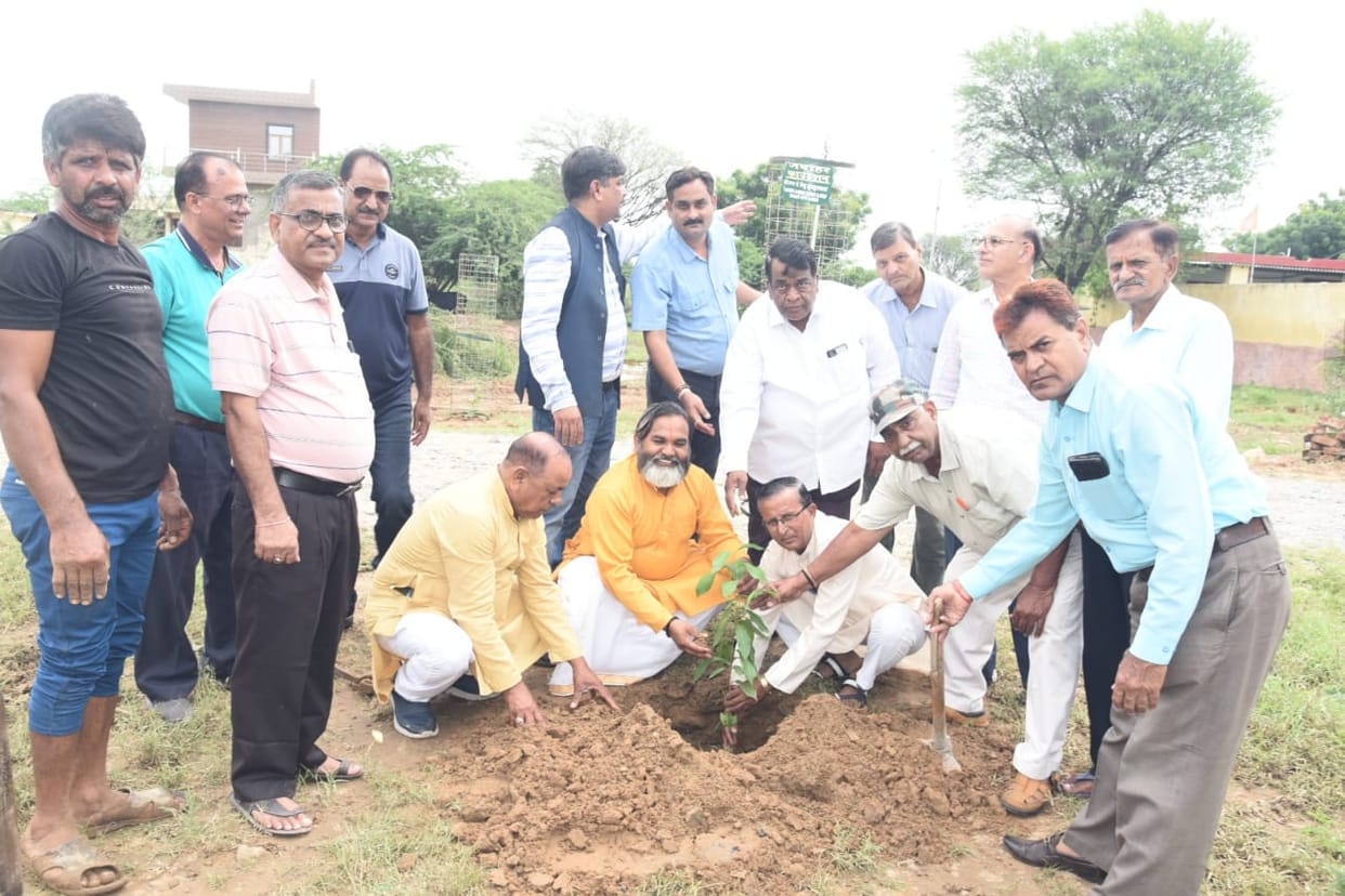 Plantation was done under Clean Ajmer Green Ajmer program