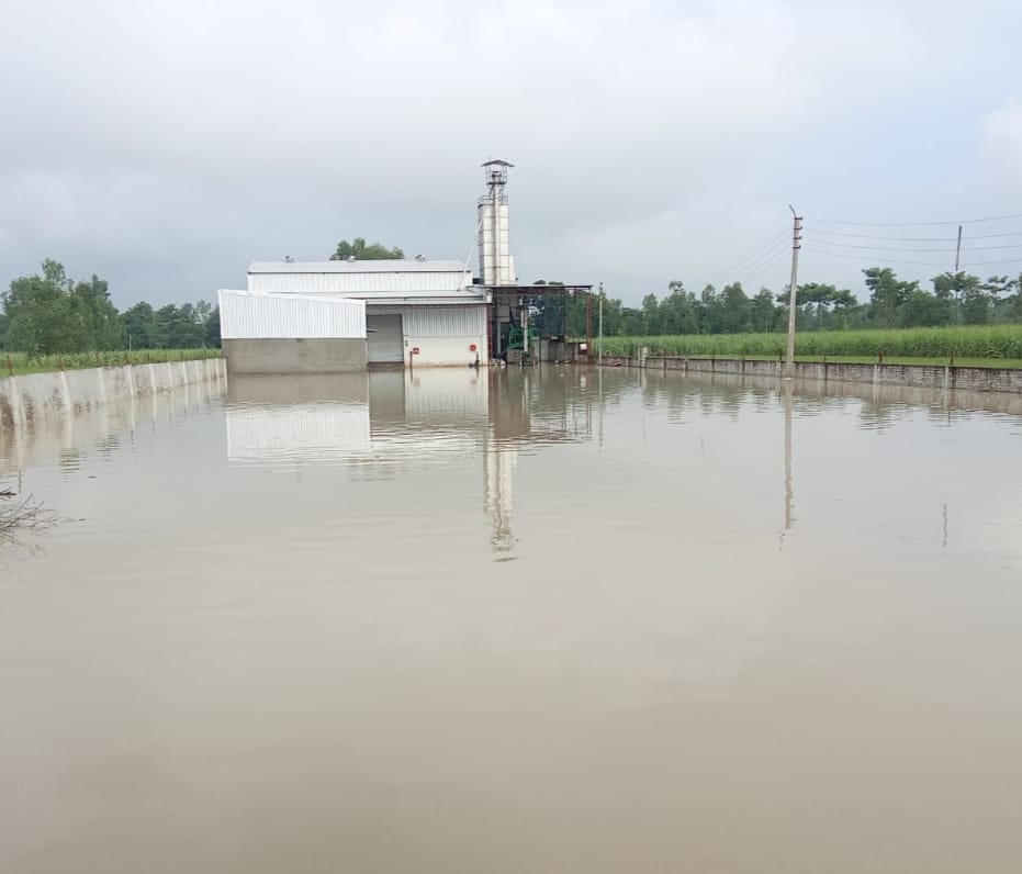 Dozens of villages in the grip of flood, crops drowned in the river