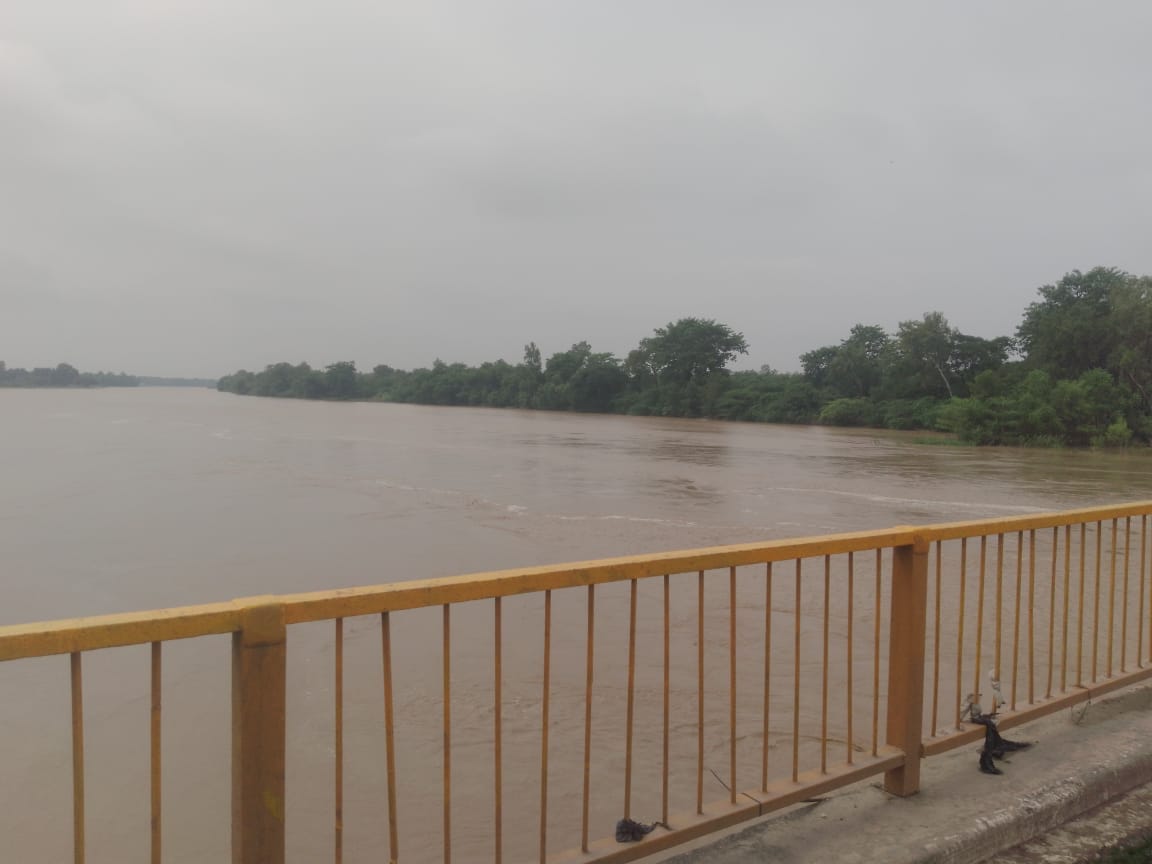 Crops submerged due to rising water level of Devha river