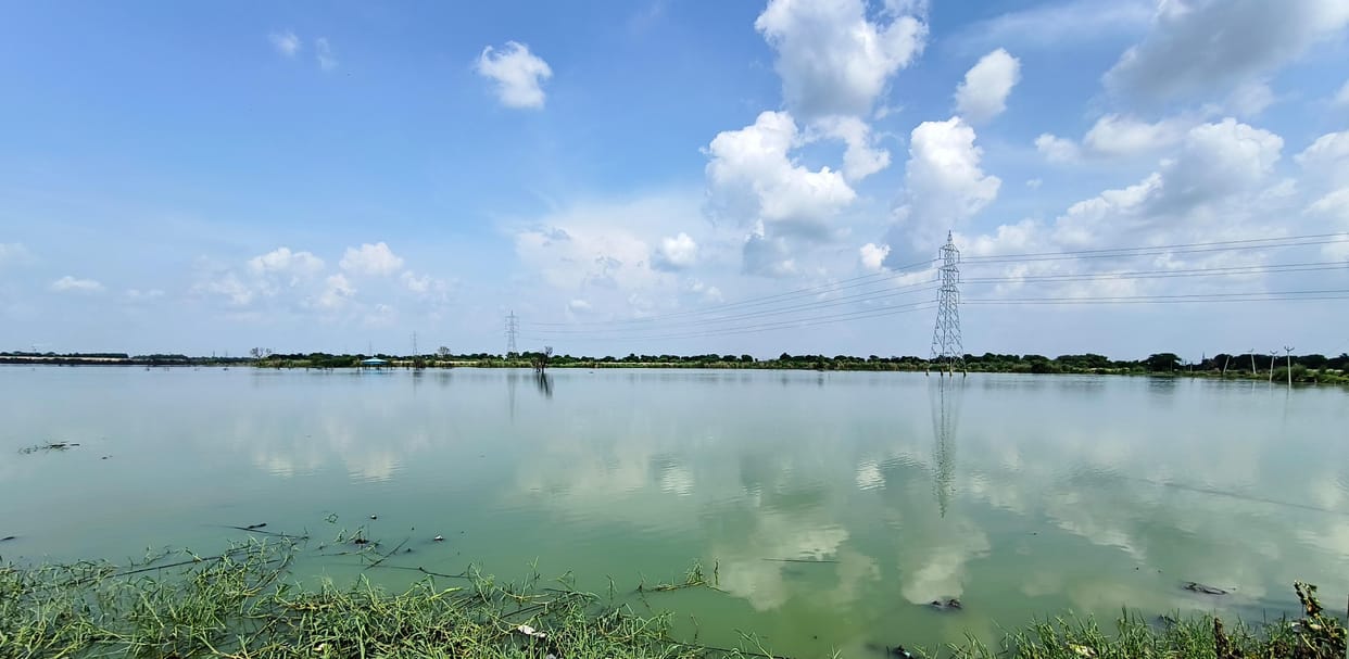 Pollution Control Board team took water samples from 6 STP plants