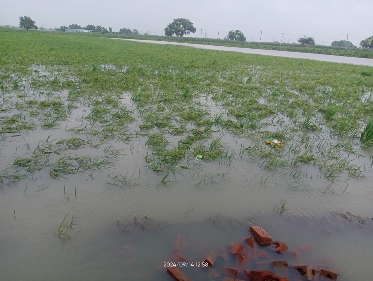 Miner overflows, 20 bigha crops filled with water, farmers worried