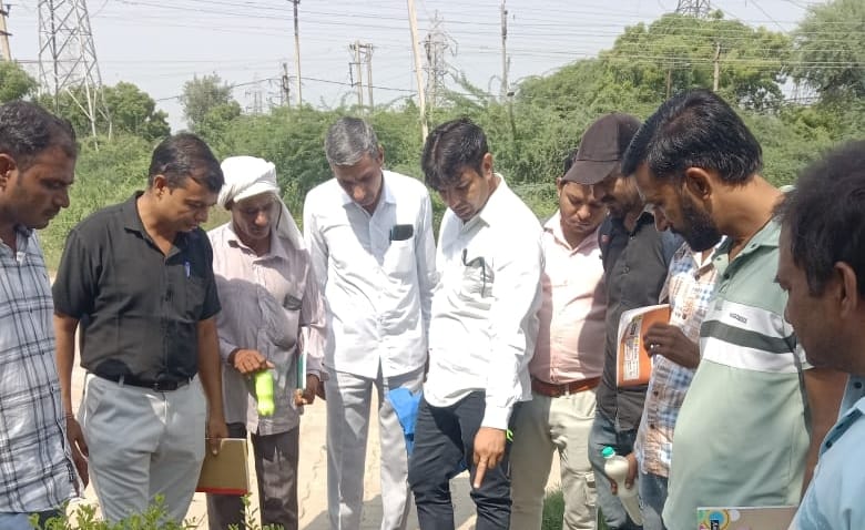 Three dengue patients, one more malaria patient found