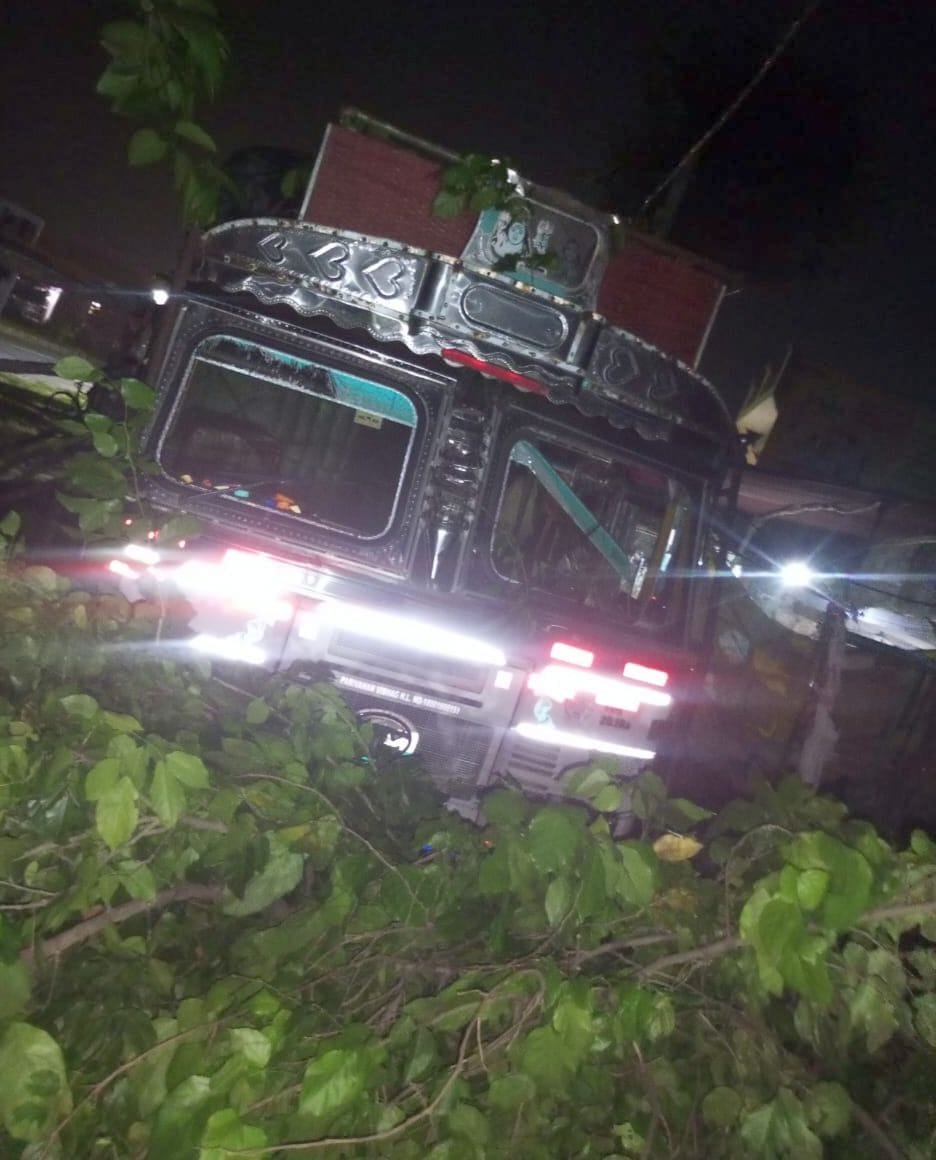 uncontrolled truck hits a tree