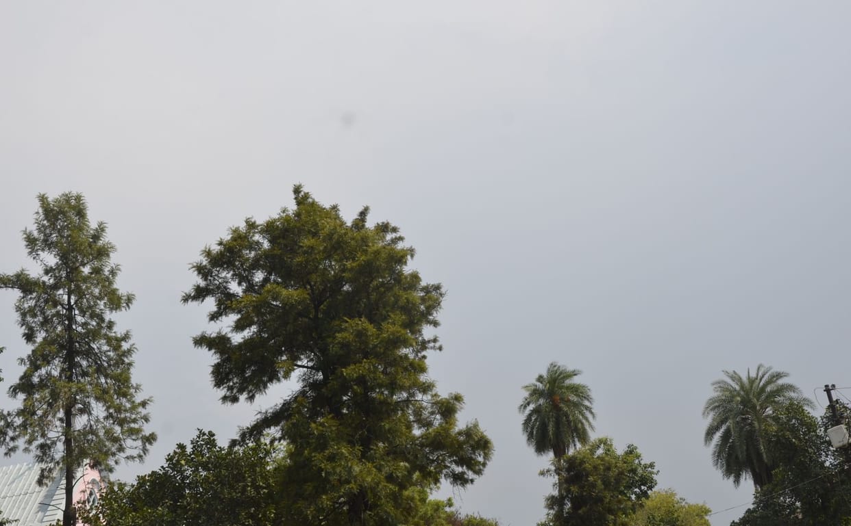 After four days of rain, the temperature started rising again, humidity also increased