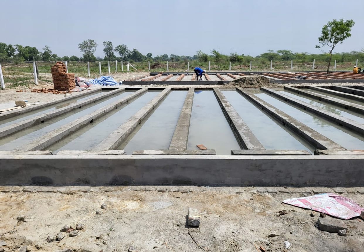 The work of Biodiversity Park is not able to pick up pace