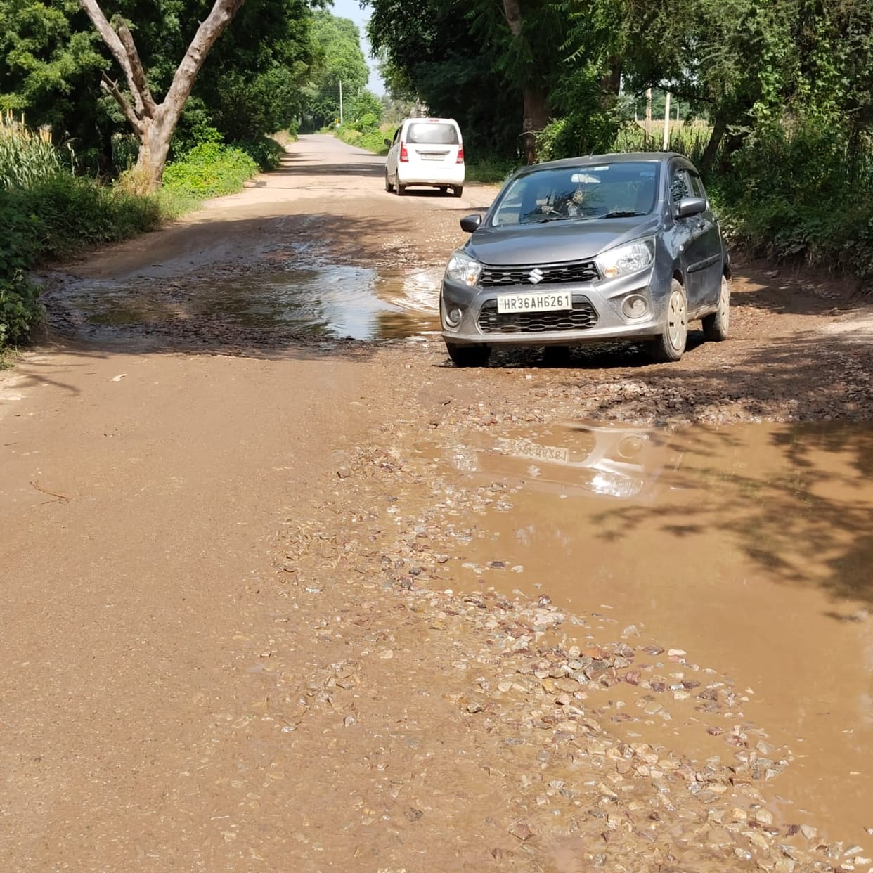 Potholes on the road, traffic affected