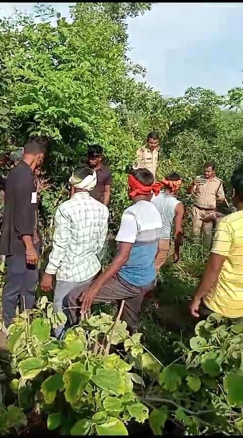 Damoh News: Fear of goat thief gang in Hardua, shepherd killed and goats stolen