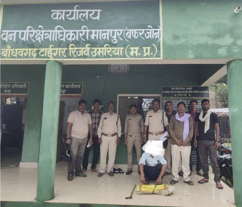 Umaria News accused who hunted and killed wild boar has been arrested material has been seized
