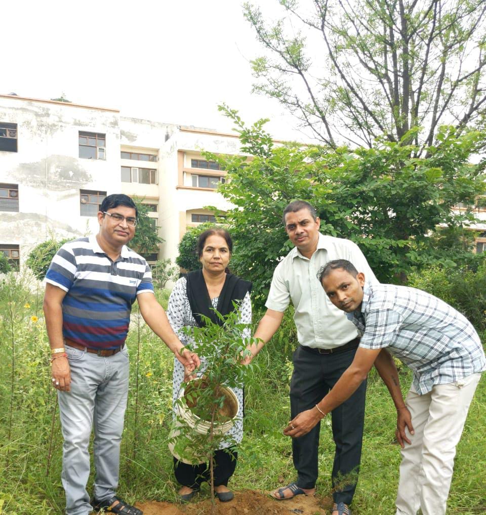 Saplings planted in Birohar College