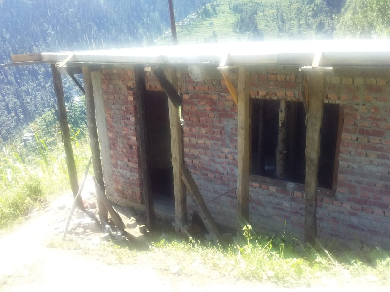 12 Kail trees cut for shuttering of Lok Mitra Kendra building