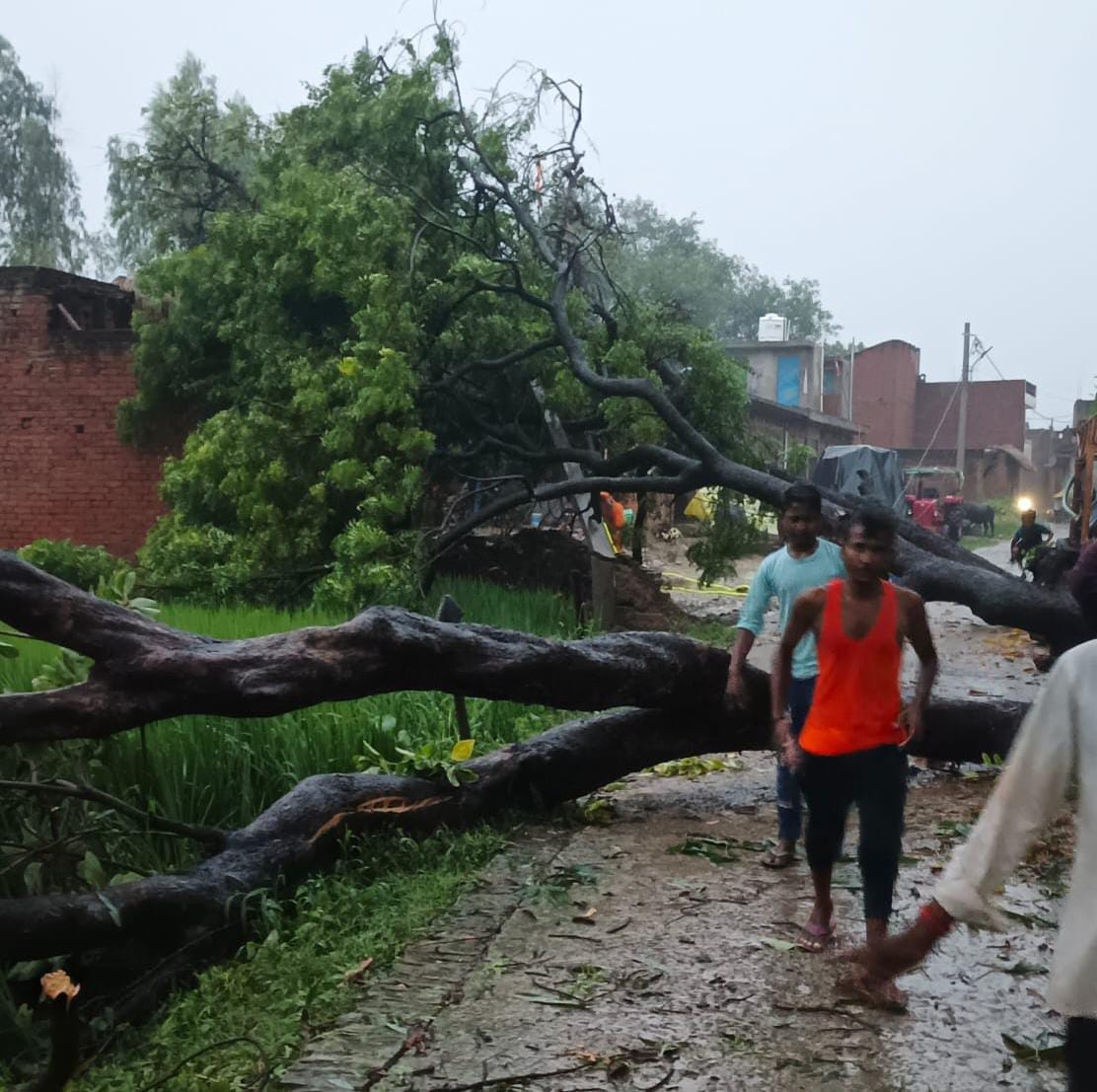 Electricity supply disrupted due to rain, darkness in 200 villages including district headquarters